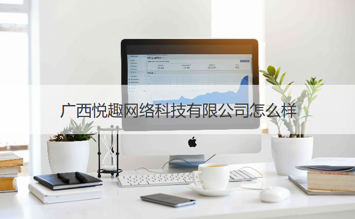 廣西悅趣網絡科技美術圖案設計服務評價——專業(yè)性與適配度分析